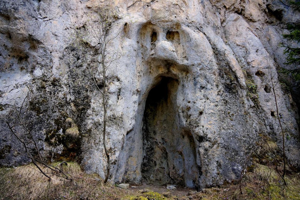 Pensione Albergo Diffuso Ceaglio Valle Maira مارمورا المظهر الخارجي الصورة