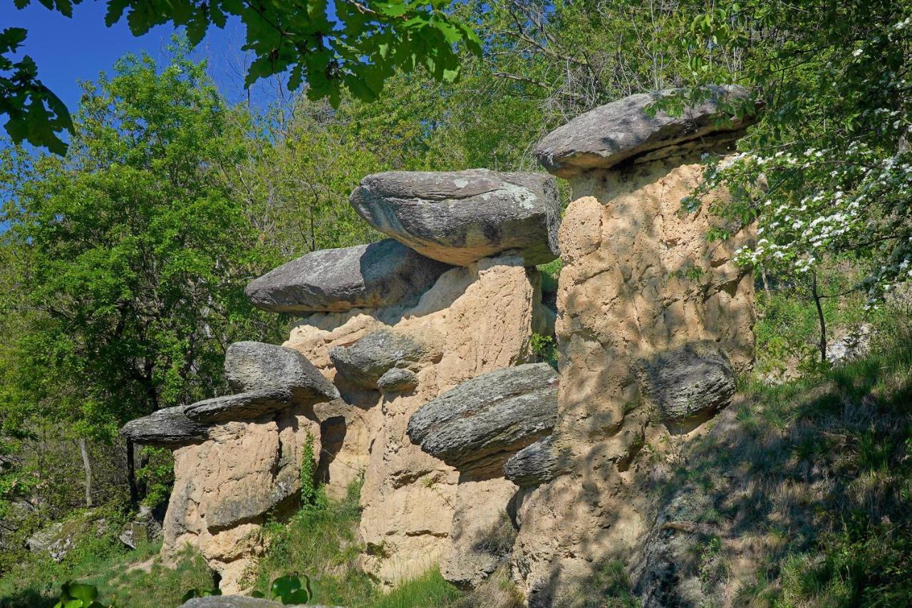 Pensione Albergo Diffuso Ceaglio Valle Maira مارمورا المظهر الخارجي الصورة