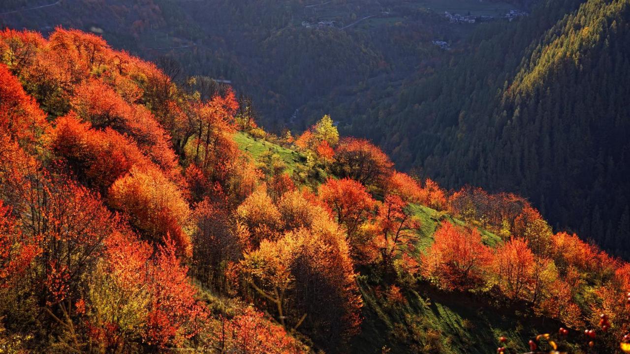 Pensione Albergo Diffuso Ceaglio Valle Maira مارمورا المظهر الخارجي الصورة